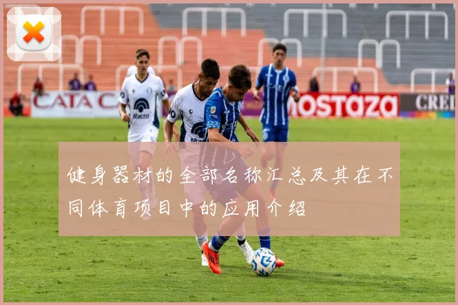 健身器材的全部名称汇总及其在不同体育项目中的应用介绍